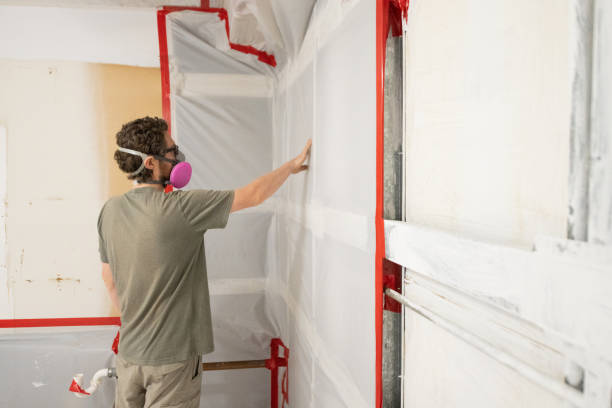 Best Mold-Related Health Consultation  in Apopka, FL