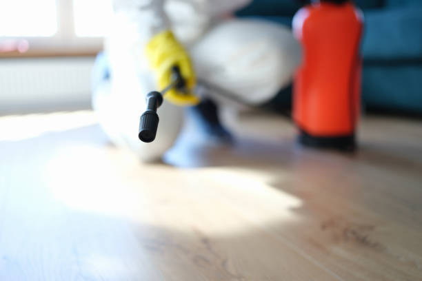  Apopka, FL Mold Removal Pros