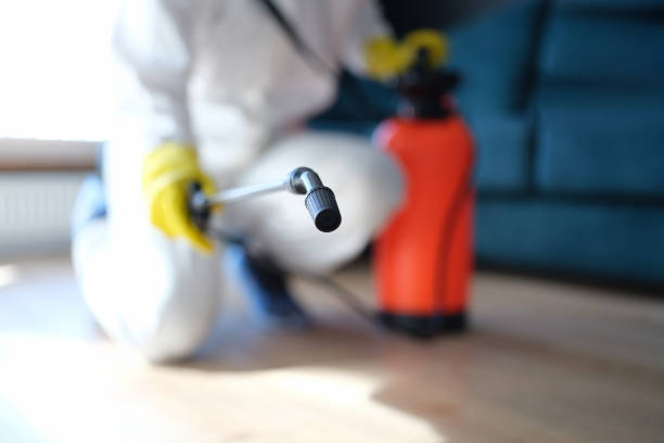 Best Air Quality Testing for Mold Spores  in Apopka, FL