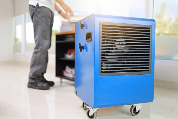 Best Mold Documentation for Insurance Claims  in Apopka, FL