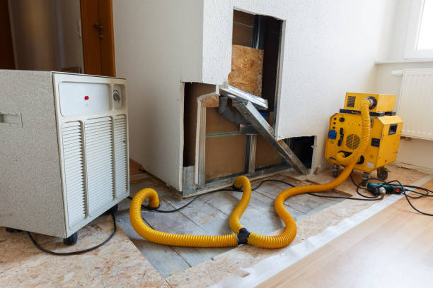 Best Biohazard Mold Removal  in Apopka, FL