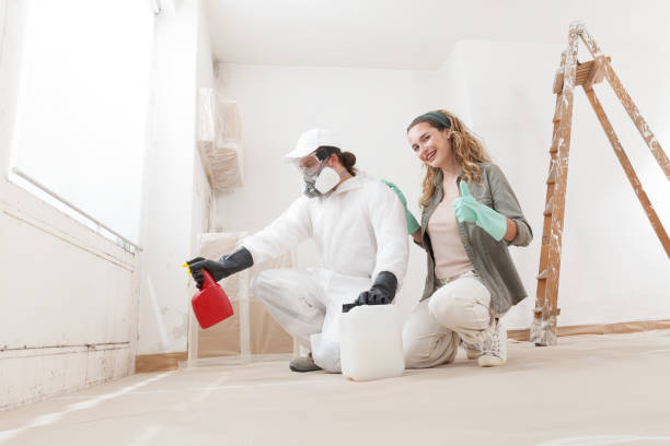 Best HVAC Mold Inspection and Cleaning  in Apopka, FL